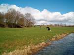 This is why we love the canals!