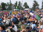 The Cropredy crowd