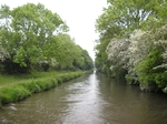 Canals in springtime