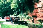 Lacewing passing through Caldwell Lock